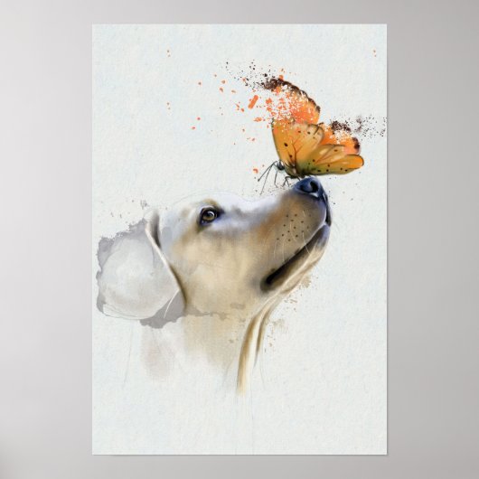 Golden Retriever met een vlinder op zijn neus Poster (Voorkant)
