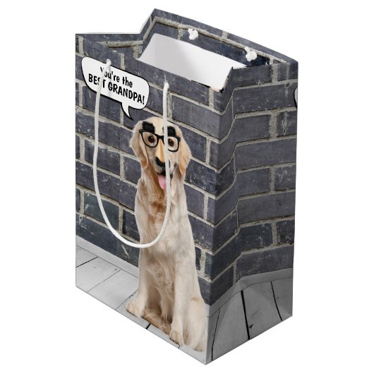 Golden Retriever met Funny Mask Birthday Medium Cadeauzakje (Achterkant Gekanteld)