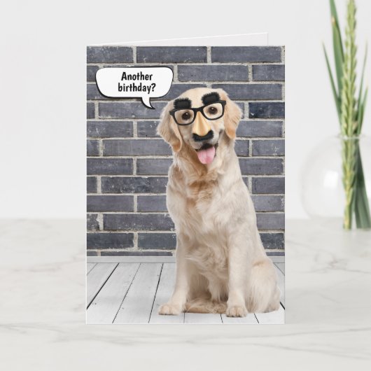 Golden Retriever met Funny Mask Verjaardags Kaart (Voorkant)