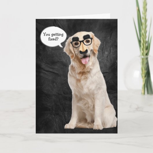 Golden Retriever met grappig masker voor vasectomi Kaart (Voorkant)