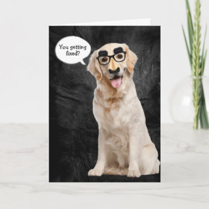 Golden Retriever met grappig masker voor vasectomi Kaart