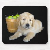 Golden Retriever met groene appels Muismat (Voorkant)