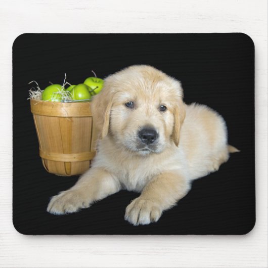 Golden Retriever met groene appels Muismat (Voorkant)