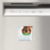 Golden Retriever met groene zonnebril Magneet (Insitu (Vaatwasser))