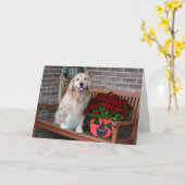 Golden retriever met Halloween Pumpkin Planter Kaart (Gele Bloem)