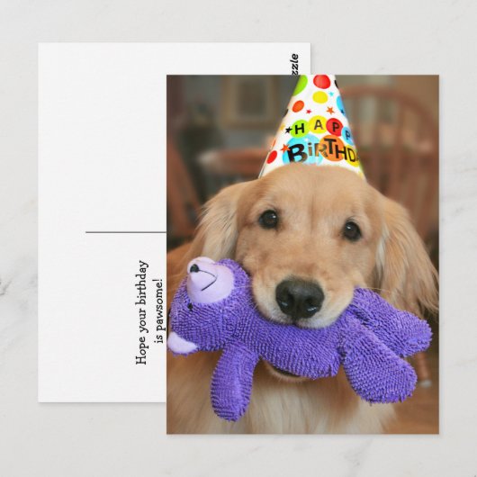 Golden Retriever met Happy Birthday Pet en Speelgo Briefkaart (Voorkant / Achterkant)