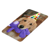Golden Retriever met Happy Birthday Pet en Speelgo Magneet (Linkerzijde)