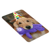Golden Retriever met Happy Birthday Pet en Speelgo Magneet (Rechterzijde)