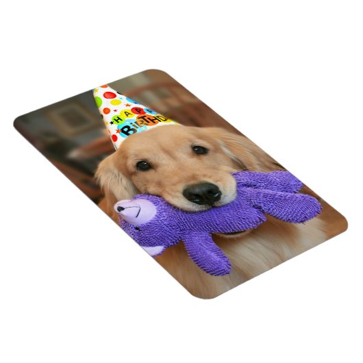 Golden Retriever met Happy Birthday Pet en Speelgo Magneet (Rechterzijde)