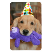 Golden Retriever met Happy Birthday Pet en Speelgo Magneet (Verticaal)