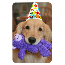 Golden Retriever met Happy Birthday Pet en Speelgo Magneet