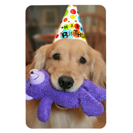 Golden Retriever met Happy Birthday Pet en Speelgo Magneet (Verticaal)