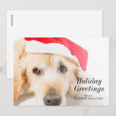 Golden retriever met het Pet van Kerstmis Feestdagenkaart (Voorkant / Achterkant)