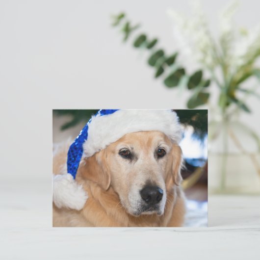 Golden retriever met het pet van santa in Kerstmis Feestdagenkaart (Staand voorkant)