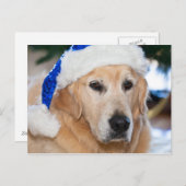 Golden retriever met het pet van santa in Kerstmis Feestdagenkaart (Voorkant / Achterkant)