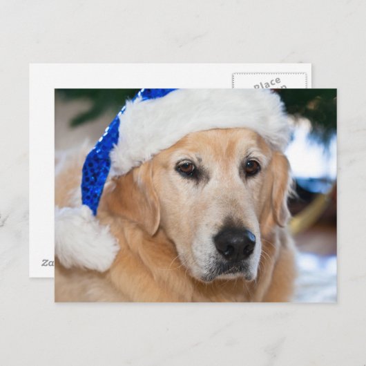 Golden retriever met het pet van santa in Kerstmis Feestdagenkaart (Voorkant / Achterkant)