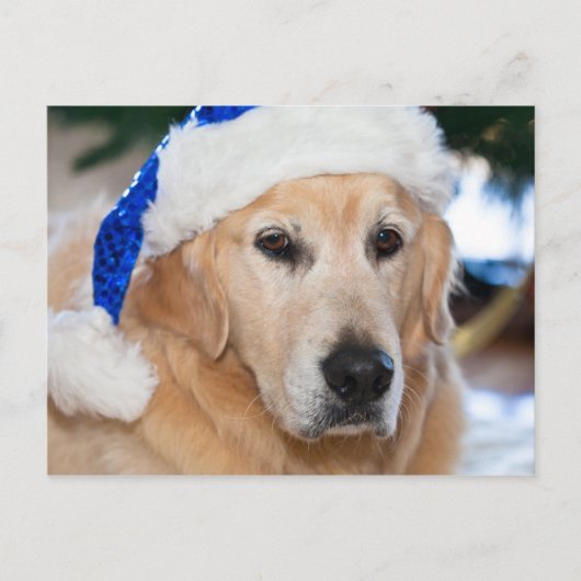 Golden retriever met het pet van santa in Kerstmis Feestdagenkaart (Voorkant)