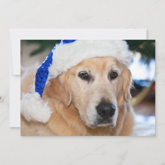 Golden retriever met het pet van santa in Kerstmis Feestdagenkaart (Voorkant)