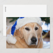 Golden retriever met het pet van santa in Kerstmis Feestdagenkaart (Voorkant / Achterkant)