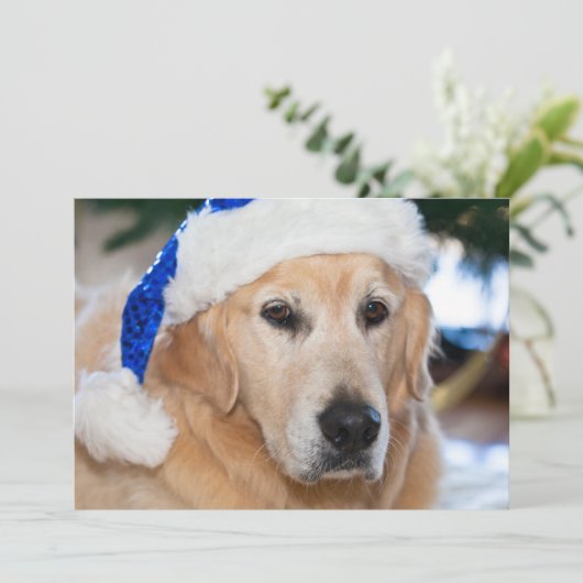 Golden retriever met het pet van santa in Kerstmis Feestdagenkaart (Staand voorkant)