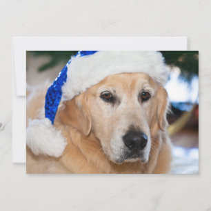 Golden retriever met het pet van santa in Kerstmis Feestdagenkaart