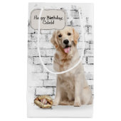 Golden Retriever met honkbal en handschoen Klein Cadeauzakje (Voorkant)