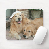Golden Retriever met honkbalPet Muismat (Met muis)