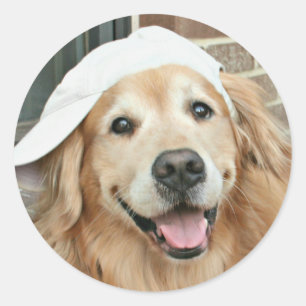 Golden Retriever met honkbalPet Ronde Sticker