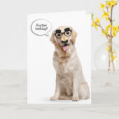 Golden Retriever met maskerverjaardag Kaart (Gele Bloem)