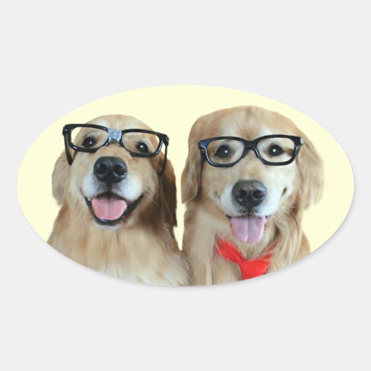 Golden Retriever met nerdbril Stickers (Voorkant)