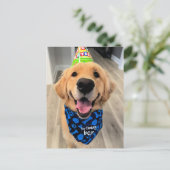 Golden Retriever met Pet en Bandana Briefkaart (Staand voorkant)