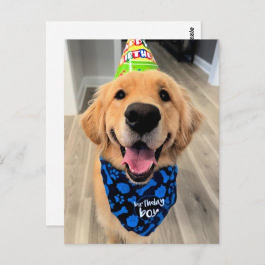 Golden Retriever met Pet en Bandana Briefkaart (Voorkant / Achterkant)