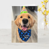 Golden Retriever met Pet en Bandana Kaart (Gele Bloem)