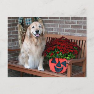 Golden retriever met pompoenplant briefkaart