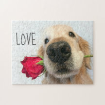 Golden Retriever met Red Rose Valentijn Love