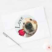 Golden Retriever met Red Rose Valentijn Love Ronde Sticker (Envelop)