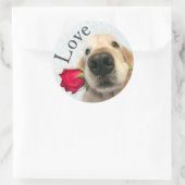Golden Retriever met Red Rose Valentijn Love Ronde Sticker (Tas)