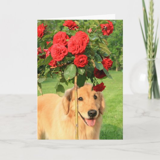 Golden Retriever met Rozen denken aan jou Kaart (Voorkant)