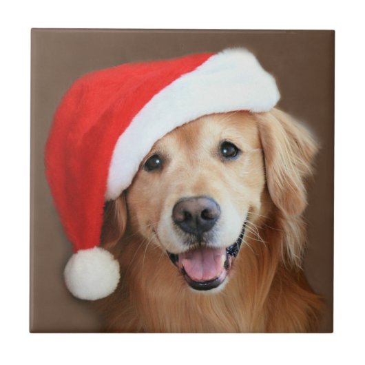Golden Retriever met Santa Hat Tegeltje (Voorkant)