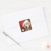 Golden Retriever met Santa Hat Vierkante Sticker (Envelop)