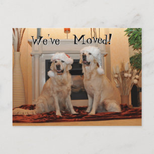 Golden Retriever met santa hats op een nieuw adres Briefkaart