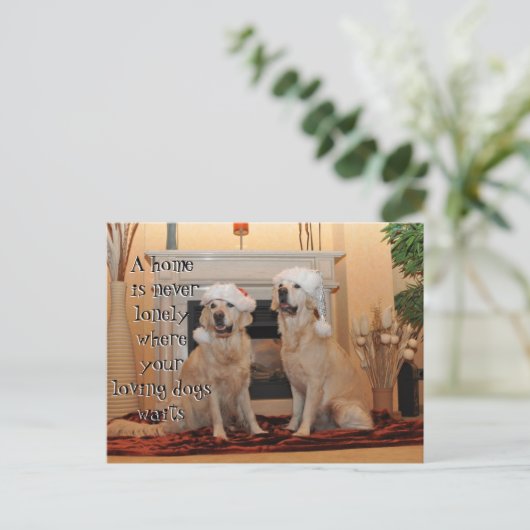 Golden Retriever met santa hats op een nooit allee Briefkaart (Staand voorkant)