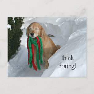 Golden Retriever met Speelgoed in sneeuw Briefkaart