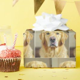 Golden Retriever met strooien op de neus Cadeaupapier