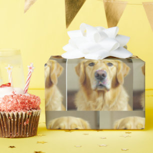 Golden Retriever met strooien op de neus Cadeaupapier