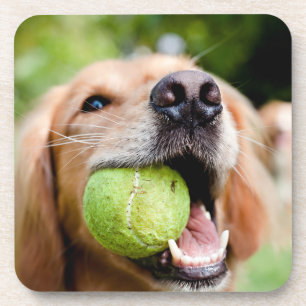 Golden Retriever met Tennis Ball Bier Onderzetter