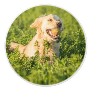 Golden Retriever met Tennis Ball Ceramic Knob. Keramische Knop