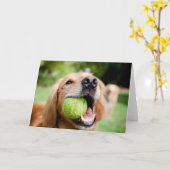 Golden Retriever met Tennis Ball Kaart (Gele Bloem)
