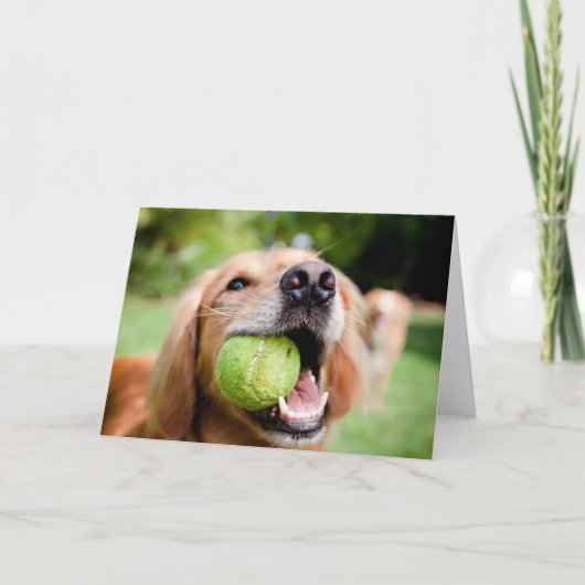 Golden Retriever met Tennis Ball Kaart (Voorkant)