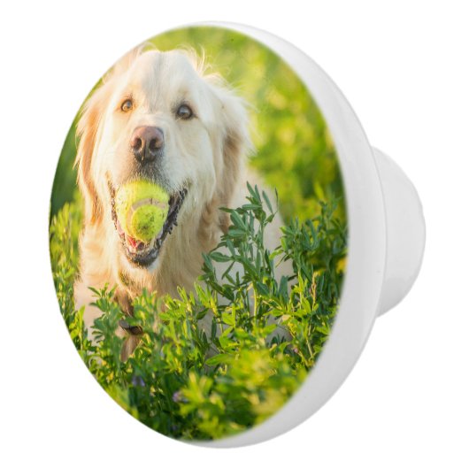 Golden Retriever met Tennis Ball Keramische Knop (Rechts)